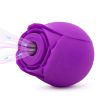 CR-OMYSKY private fun, meet, suck, vibrating egg, purple