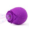 CR-OMYSKY private fun, meet, suck, vibrating egg, purple